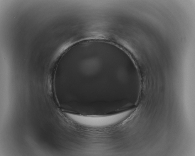 X0000113531455200910021320