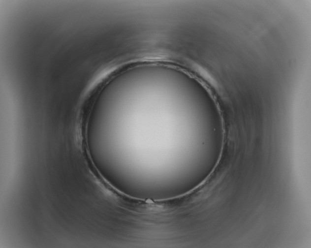 X0000113531456200910021320