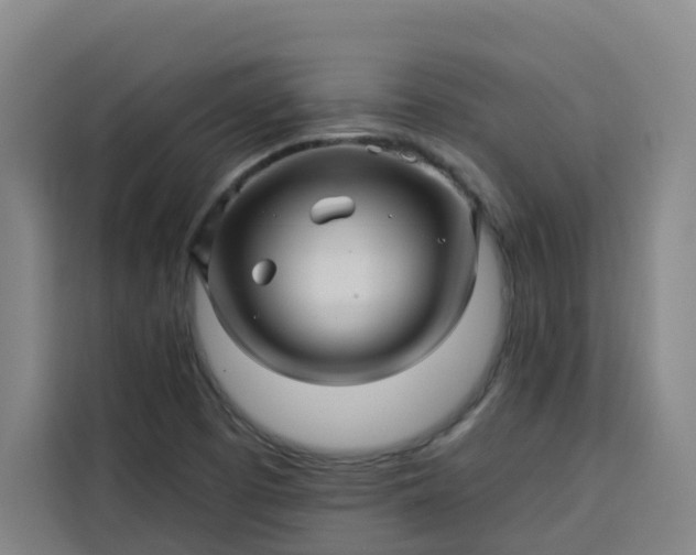 X0000113531457200910021320