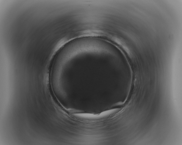 X0000113531459200910021320