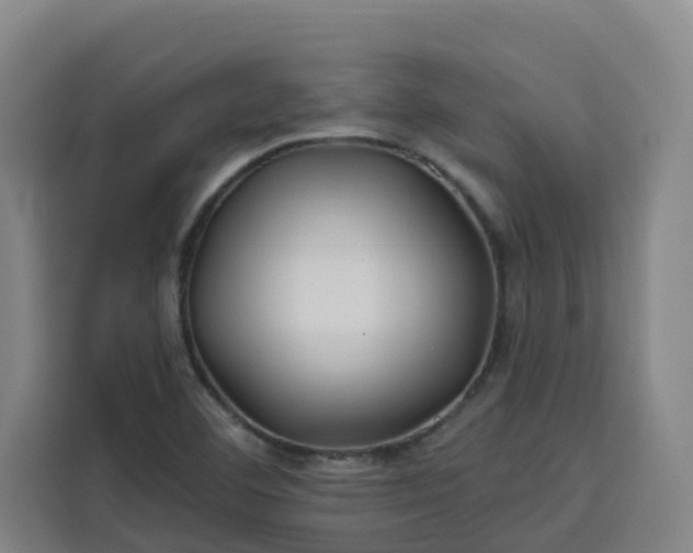 X0000113531460200910021320