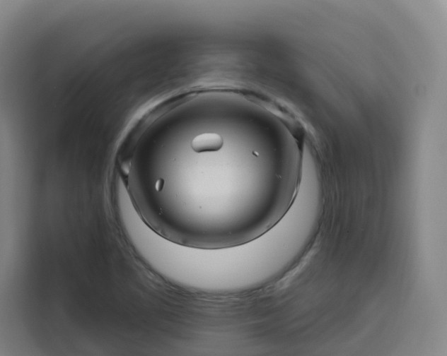 X0000113531461200910021320