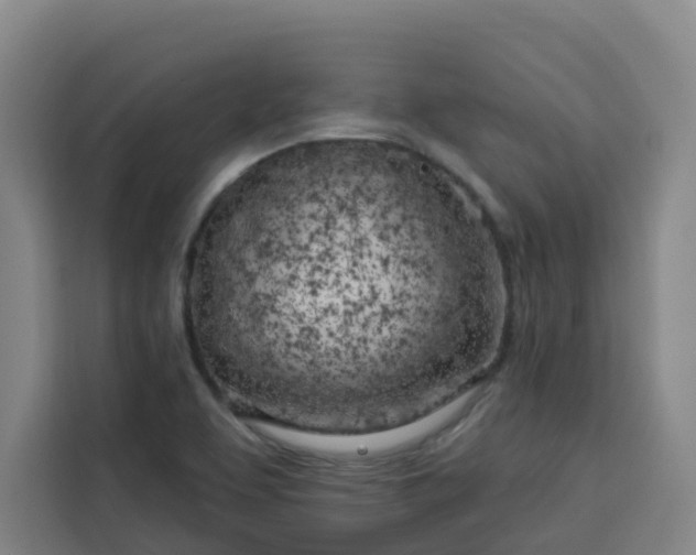 X0000113531463200910021320