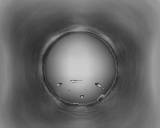 X0000113531464200910021320