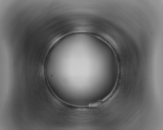 X0000113531465200910021320