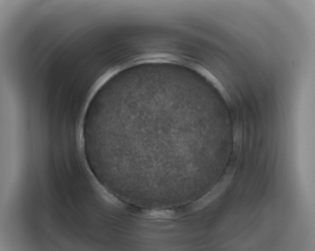 X0000113531466200910021320