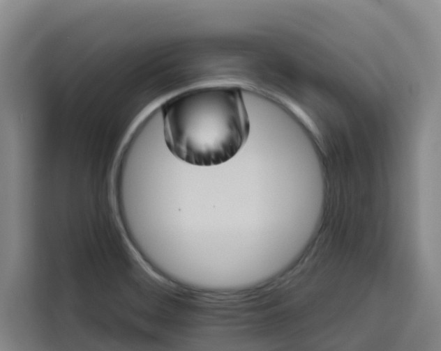 X0000113531468200910021320