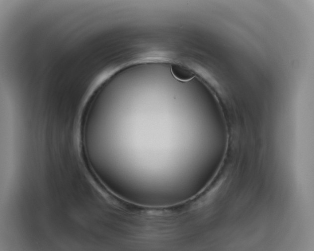 X0000113531469200910021320