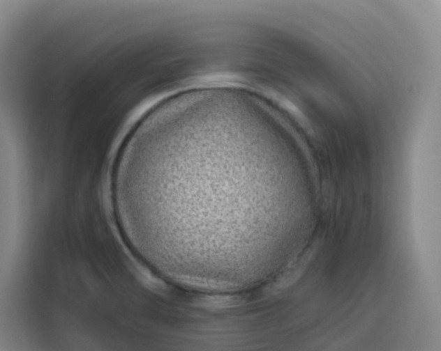 X0000113531470200910021320