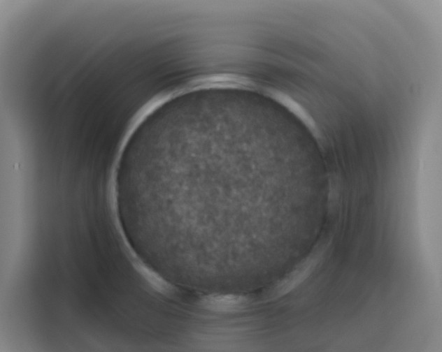 X0000113531474200910021320