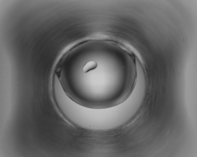 X0000113531477200910021319