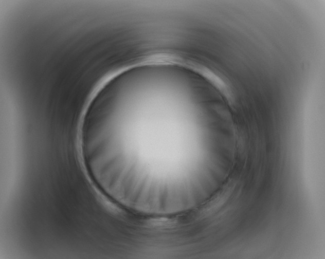 X0000113531478200910021319