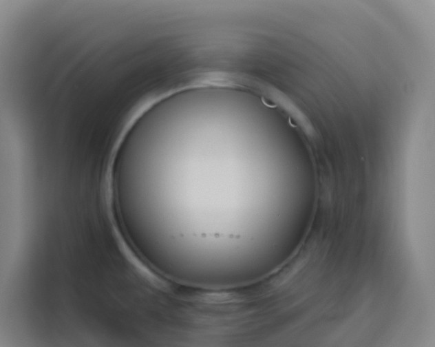 X0000113531479200910021319