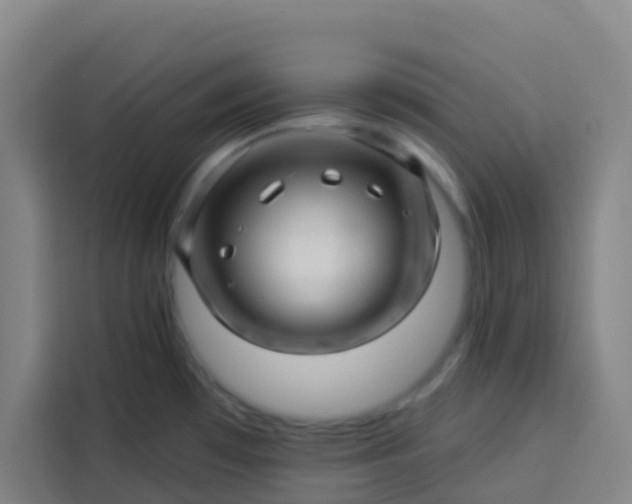 X0000113531481200910021319