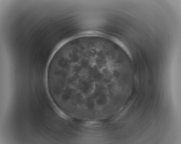 X0000113531482200910021319