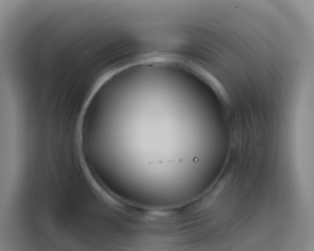 X0000113531483200910021319