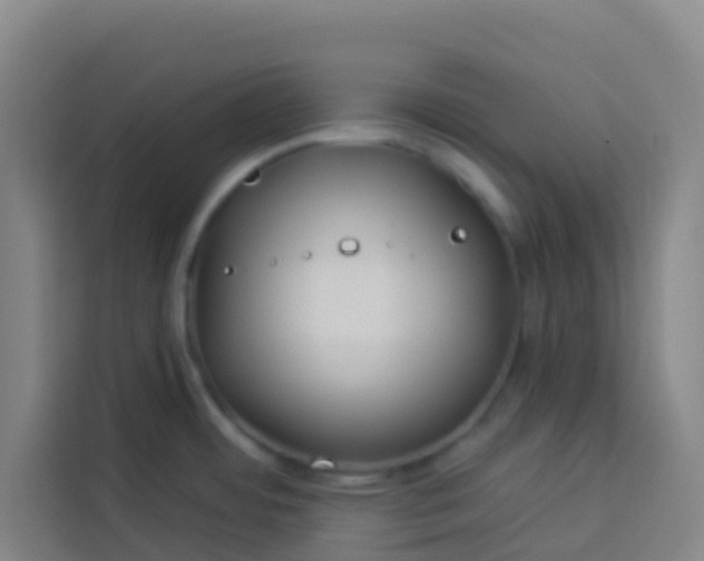 X0000113531484200910021319