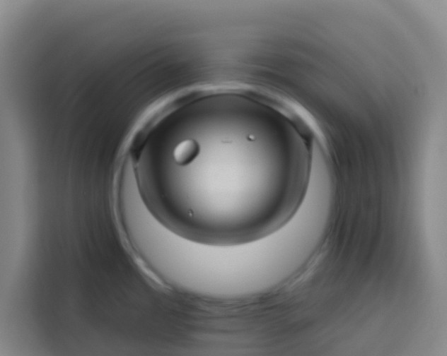 X0000113531485200910021319