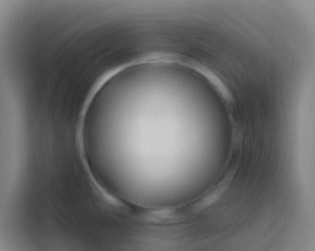 X0000113531486200910021319