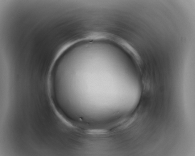 X0000113531487200910021319