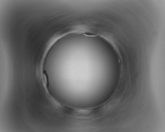 X0000113531488200910021319