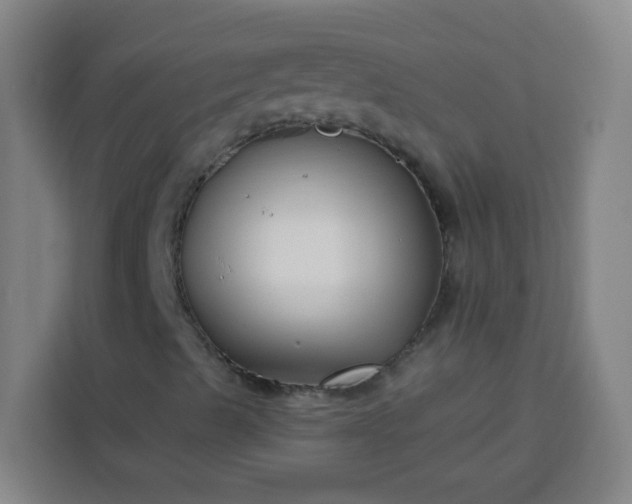 X0000113531489200910021319