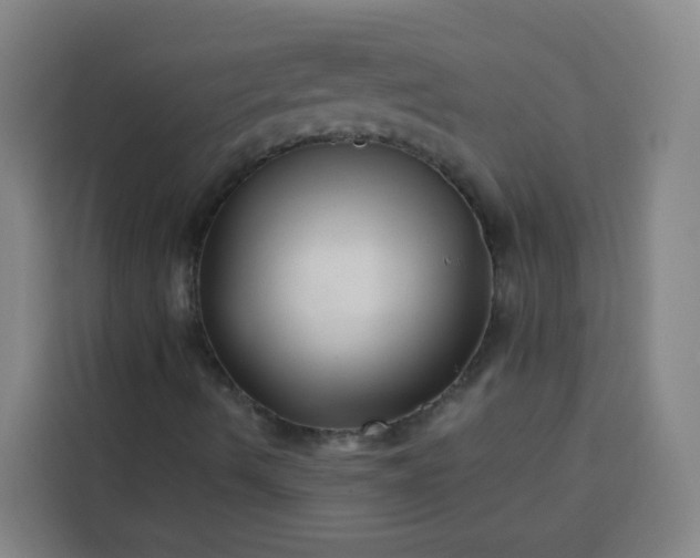 X0000113531490200910021319