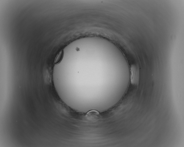 X0000113531491200910021319