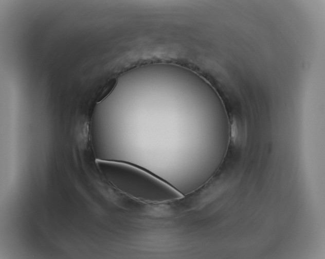 X0000113531492200910021319