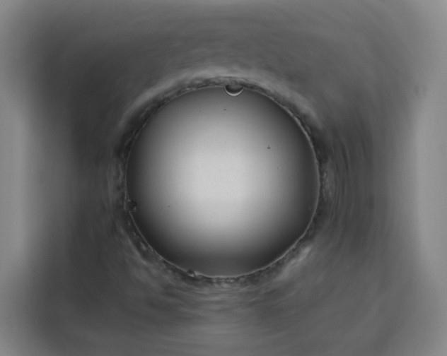 X0000113531494200910021319