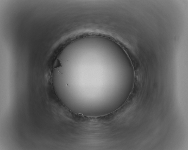 X0000113531495200910021319