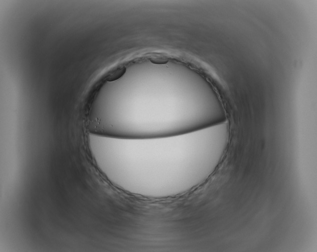 X0000113531496200910021319