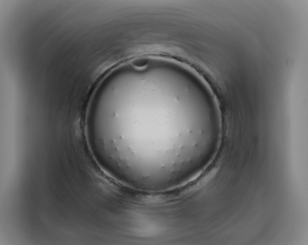 X0000113531497200910021319