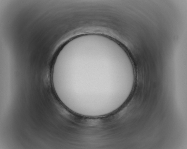 X0000113531498200910021319