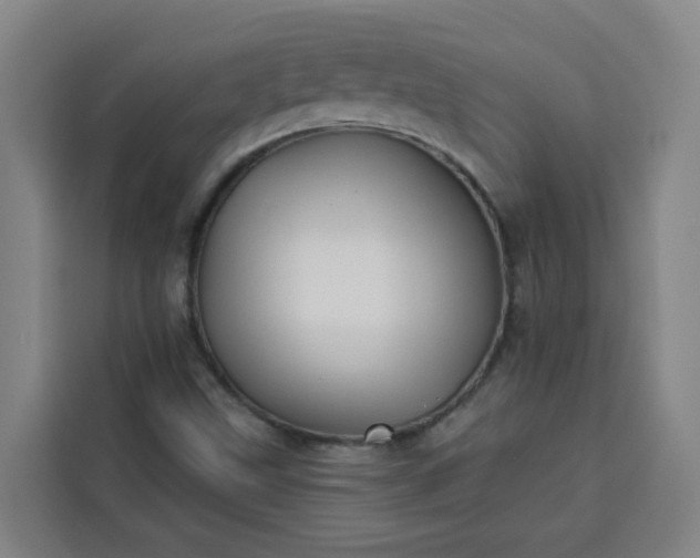 X0000113531499200910021319