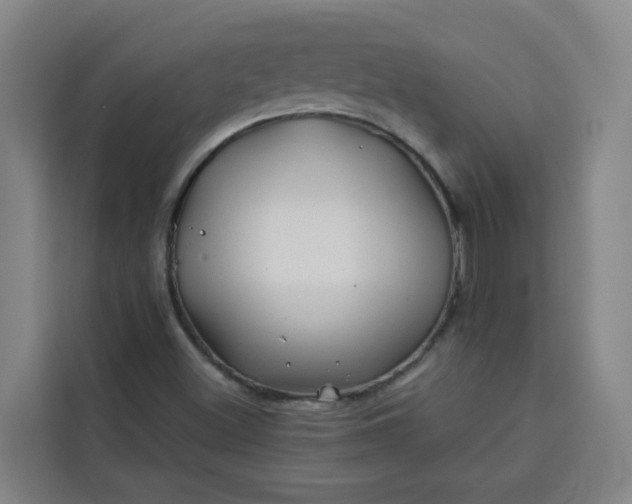 X0000113531500200910021319