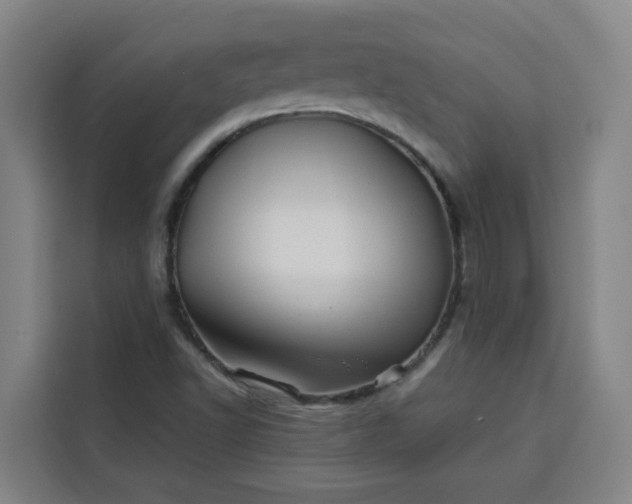 X0000113531502200910021319