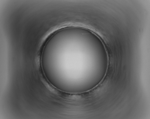 X0000113531503200910021319