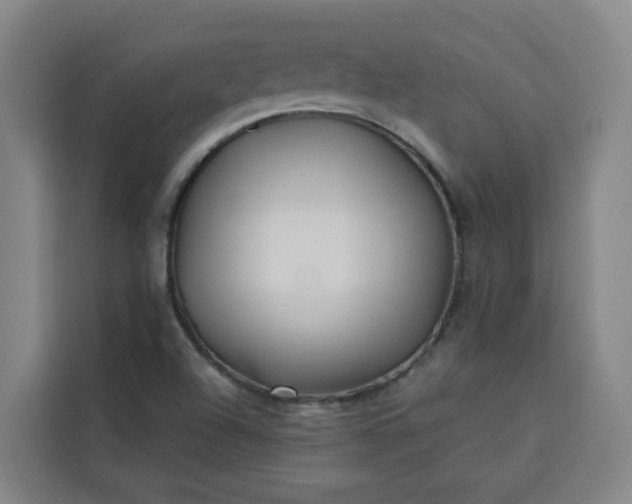 X0000113531504200910021319