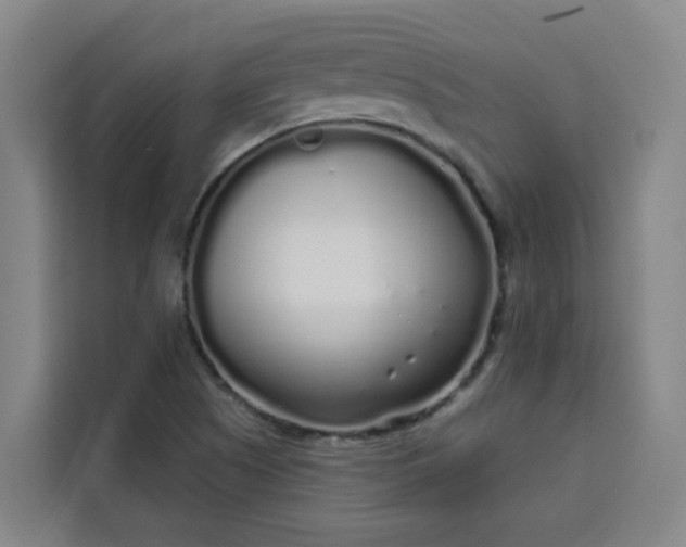 X0000113531505200910021319