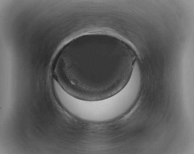 X0000113531506200910021319