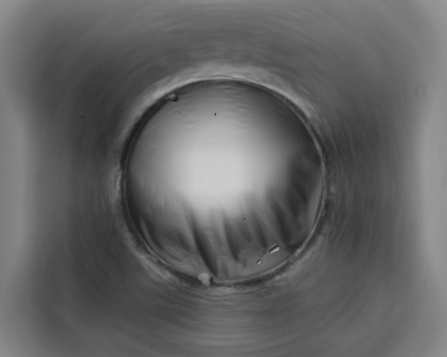 X0000113531507200910021319