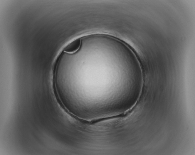 X0000113531508200910021319