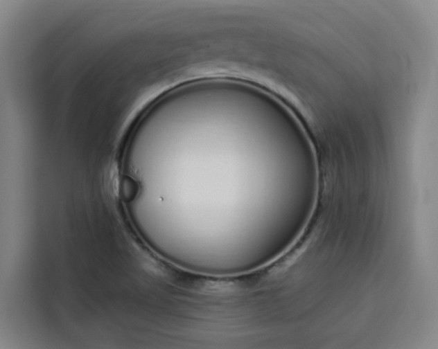 X0000113531509200910021319