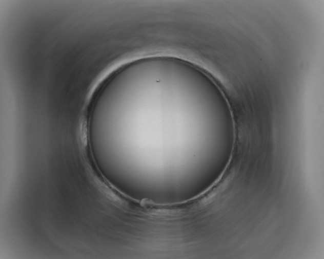 X0000113531510200910021319