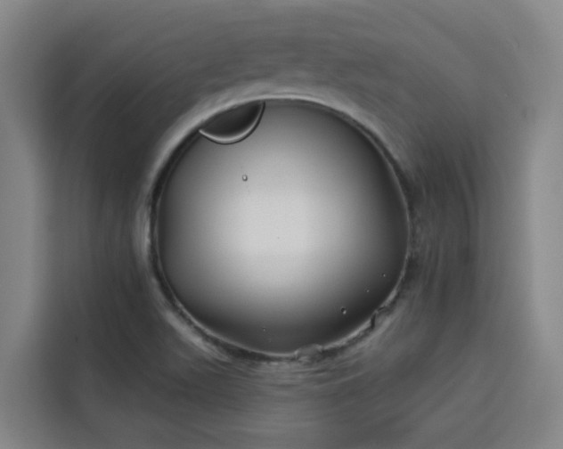 X0000113531511200910021319