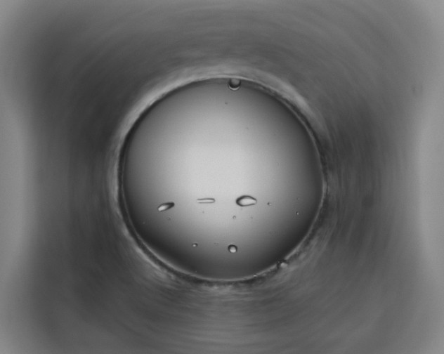 X0000113531512200910021319