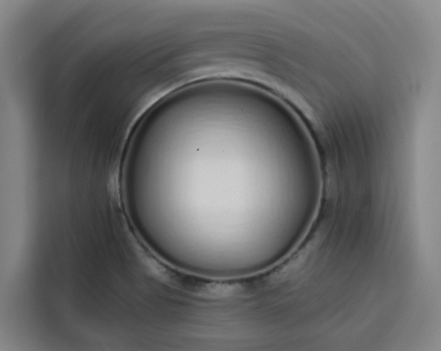 X0000113531513200910021319