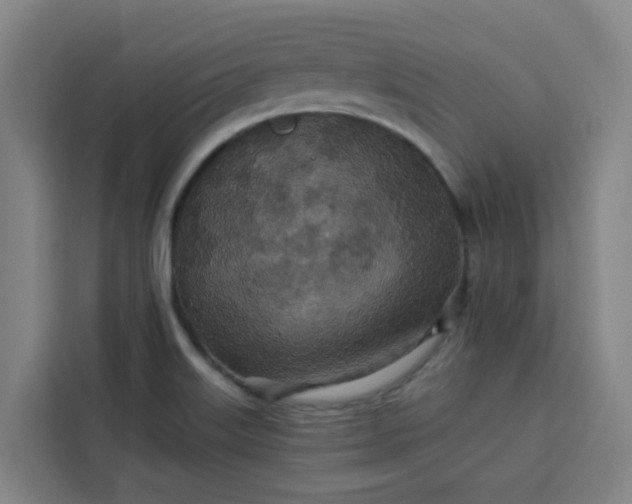 X0000113531515200910021319