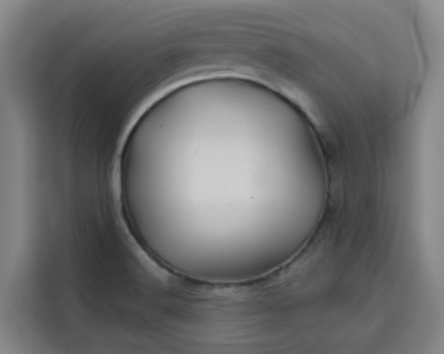 X0000113531516200910021319